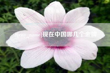 松原现在中国哪几个金牌
