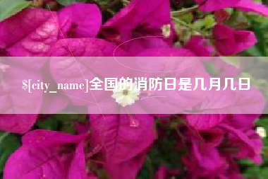 松原全国的消防日是几月几日