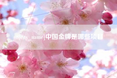 松原中国金牌是哪些项目