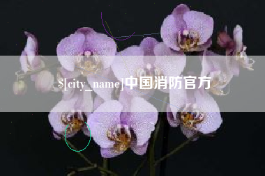 松原中国消防官方