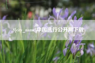 松原中国执行公开网下载