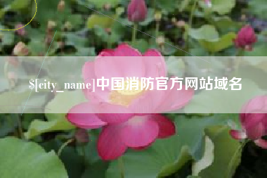 松原中国消防官方网站域名