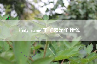 松原王子豪是个什么