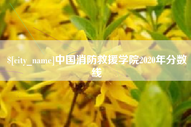 松原中国消防救援学院2020年分数线