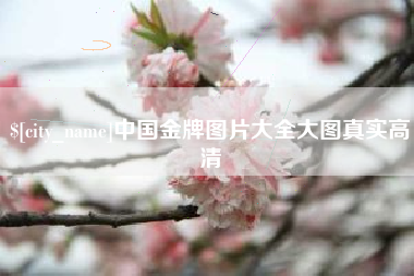 松原中国金牌图片大全大图真实高清