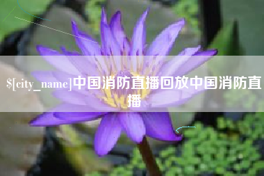 松原中国消防直播回放中国消防直播
