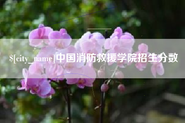 松原中国消防救援学院招生分数