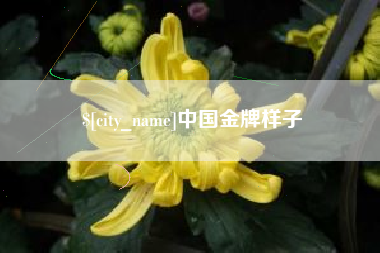 松原中国金牌样子