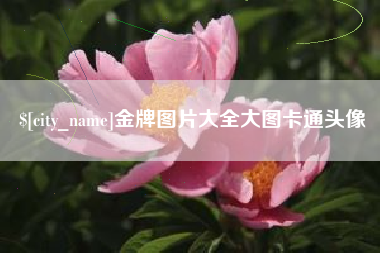 松原金牌图片大全大图卡通头像