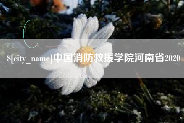 松原中国消防救援学院河南省2020